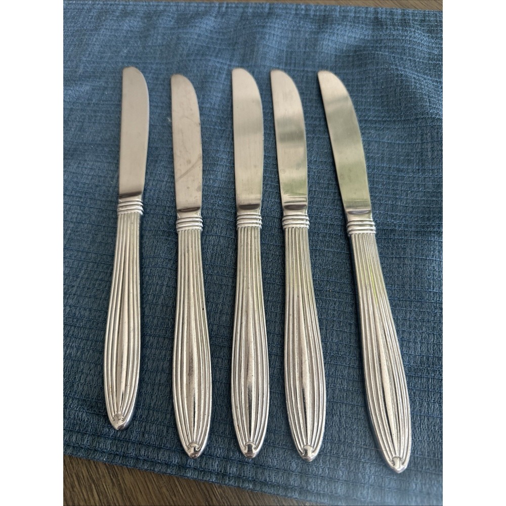 Pfaltzgraffโ Mackenzie Stainless Steel Flatware Dinner Knife Set Of 5 RARE